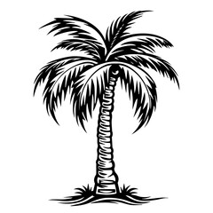 Fototapeta premium creative vector artwork of a palm tree symbolizing summer and tropics back and white vector graphic
