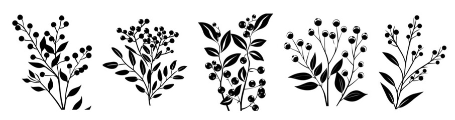 creative black and white drawings of berry plants with elegant contours