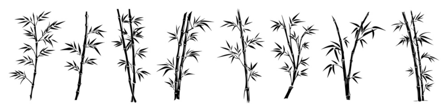 artistic collection of hand-drawn bamboo stalks and leaves