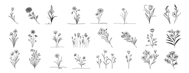 artistic set of hand-drawn flower and plant illustrations in linear style