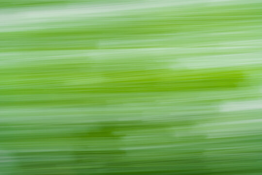 Lateral displacement in a forest 