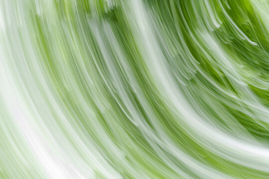 Long exposure of a forest 