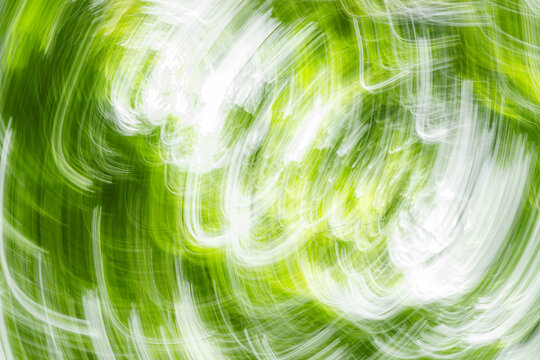 Blurred movement of the forest 