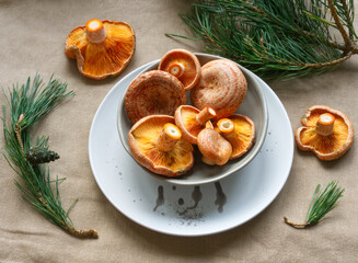 Saffron milk cap mushrooms on gray ceramic plate on linen fabric background. Edible red pine mushroom pattern. Rich protein source food. Forest autumn harvesting. Earth tone colors. Orange mushroom.