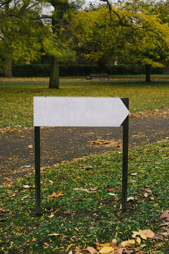 Blank Directional Sign in Park