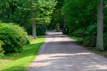 A tranquil dirt road winds through a lush green landscape, guiding visitors toward a gated entrance. Tall trees provide shade, enhancing the peaceful atmosphere