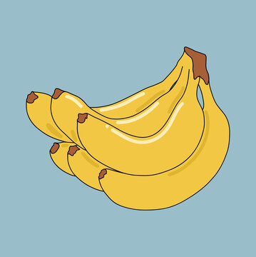 Fresh Yellow Bananas Illustration
