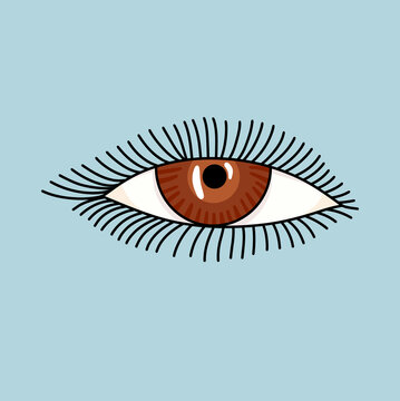 Detailed Close-Up of an Eye with Long Lashes
