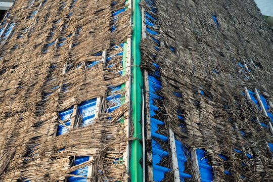Rustic Straw Roof