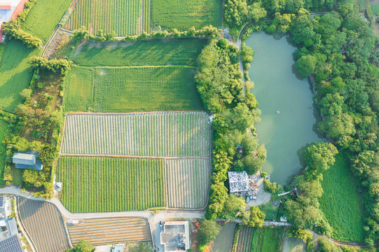 Aerial View Vegetable Farm With Pond Modern Agriculture System