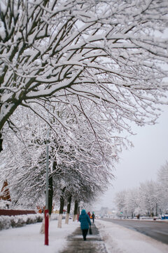 Snowy road.