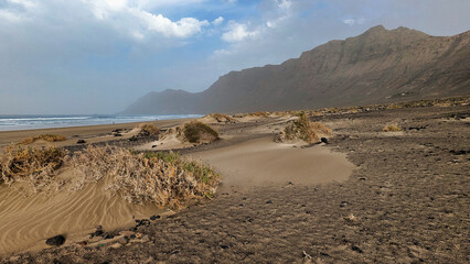 Dunes at Famara beach, Teguise municipality, Lanzarote, Canary Islands, Spain