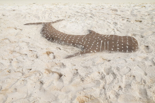 Whale Shark Sand Sculpture
