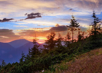 Summer sunset mountain view (Carpathian, Ukraine).