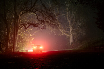 A car parked in woodland at night
