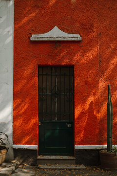 Charming Doors of Condesa