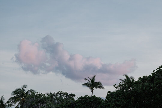 Serene Evening Sky with Pink Clouds and Palm Trees in Tulum