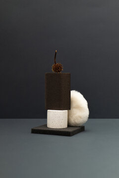 A minimalist composition featuring a variety of textured objects