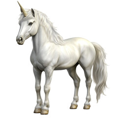 Fototapeta premium Elegant unicorn in bright light