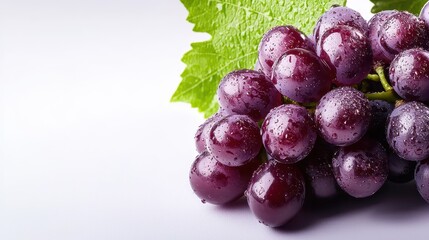 A fresh bunch of red grapes with dew drops on a white isolated background