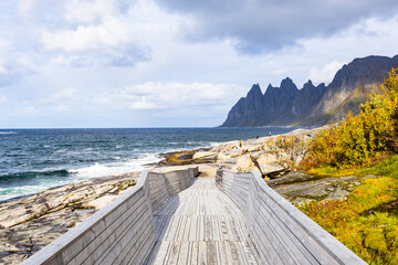 Autumn landscape of Senja Island in Northern Norway with colorful foliage, mountains, and a serene fjord.