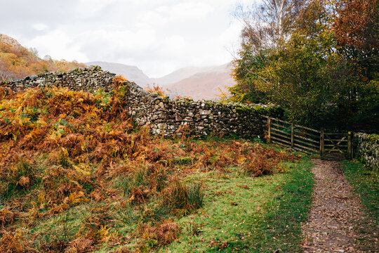 Quaint stone wall with gate