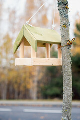 photo Wooden bird feeder with green roof hanging elegantly on a tree branch in a serene outdoor environment ideal for attracting various birds and providing nourishment