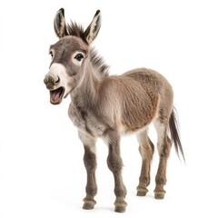 Fototapeta premium Funny surprised donkey with open mouth on isolated white background. Generated AI
