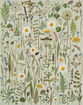 Wild meadow on canvas