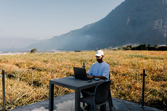 Digital nomad uses a laptop to work in a pineapple filed in El Hierro