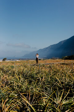 Lady uses a phone to take pictures of pineapple fields in El Hierro