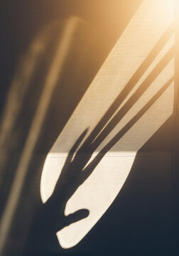 Hands in the Sun
