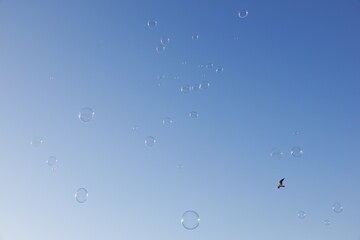 Des bulles de savon flottent dans un ciel bleu