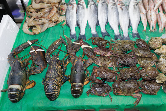 seafood counter
