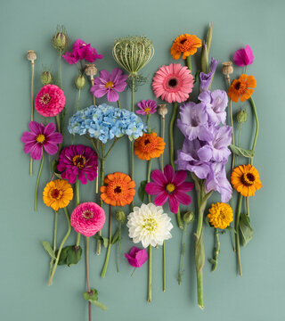 Joyful garden
