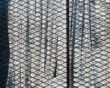 Window with lace curtains covered by protective security panel