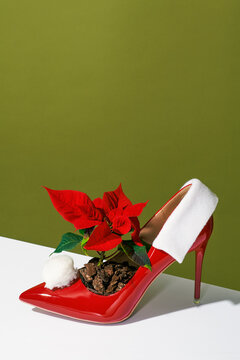 christmas high-heel with a poinsettia plant