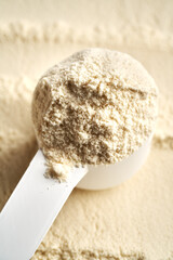 Whey protein powder in a plastic measuring cup