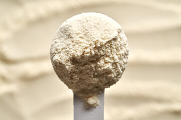Whey protein powder in a measuring scoop, top view. Healthy nutritional supplement.