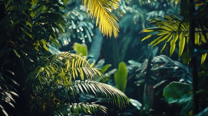 Fototapeta premium Dense green plants fill the frame, perfect for nature-inspired designs