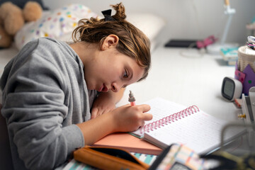 Student doing homework in his room