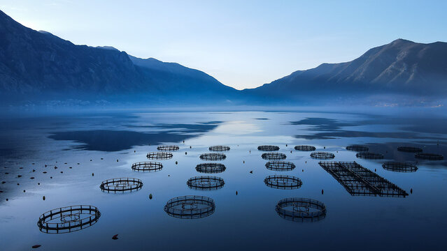 Calm Sea and Floating Fish Farm