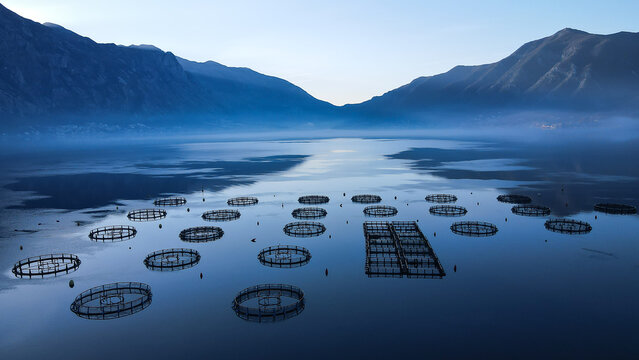 Floating Fish Farm