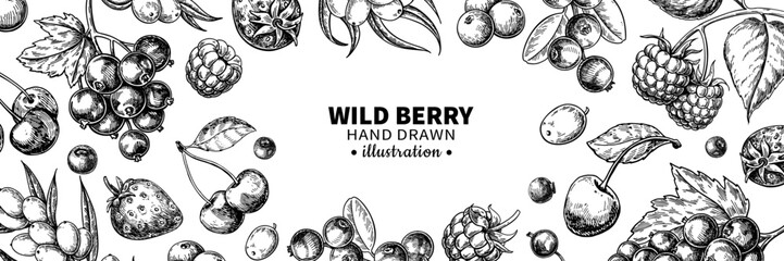 Wild berry drawing. Hand drawn vintage vector frame. Summer fruit set of strawberry, cranberry, cherry, strawberry,