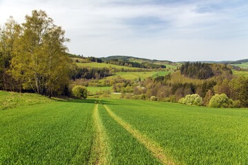 landscape from Czech-Moravian Highlands Czech Republic