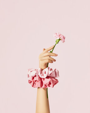 Hand with pink scrunchies and carnation flower on pink background