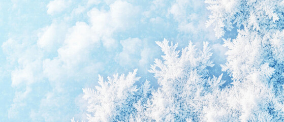 Intricate frost patterns decorate a winter window with delicate artistry and icy beauty