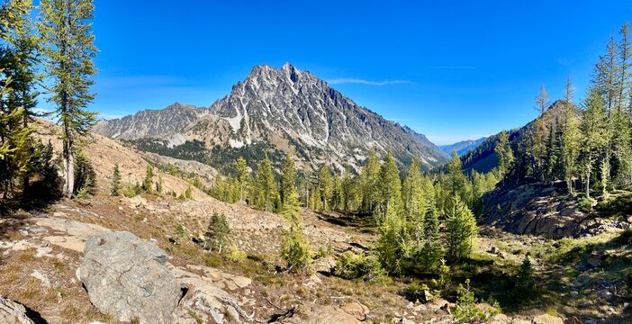 Western larch and Mt. Stuart in autumn