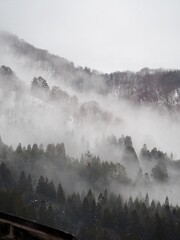 Misty mountain landscape in Shirakawa-go, Japan, with dense forest and fog rolling over the treetops.
