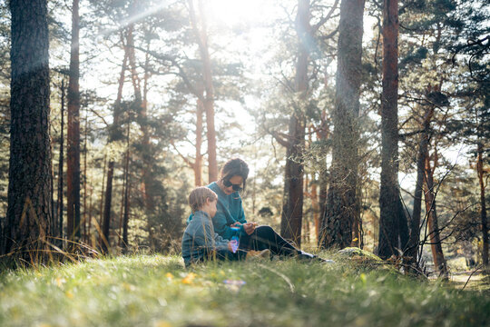 Family enjoying nature in a sunlit forest